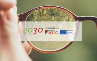 Estratégia do Programa Portugal 2030 – TA Consulting