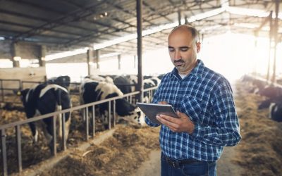 3.2.1 – Incentivos aos Investimentos na Exploração Agrícola I Valorização Agrícola, Armazenamento e Tratamento de Efluentes Pecuários – Next Generation