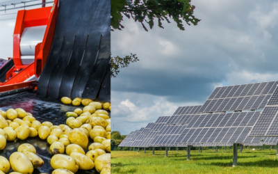 3.3.2 – Pequenos Investimentos na Transformação e Comercialização de Produtos Agrícolas I Instalação de Painéis Fotovoltaicos-Next Generation