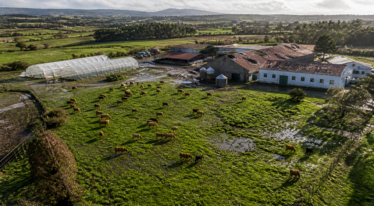 Inovação Empresarial - Linha “Modernização da Agricultura”
